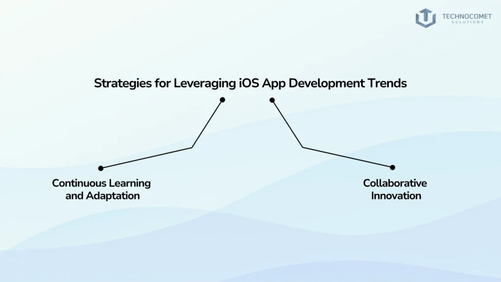 iOS Application Development