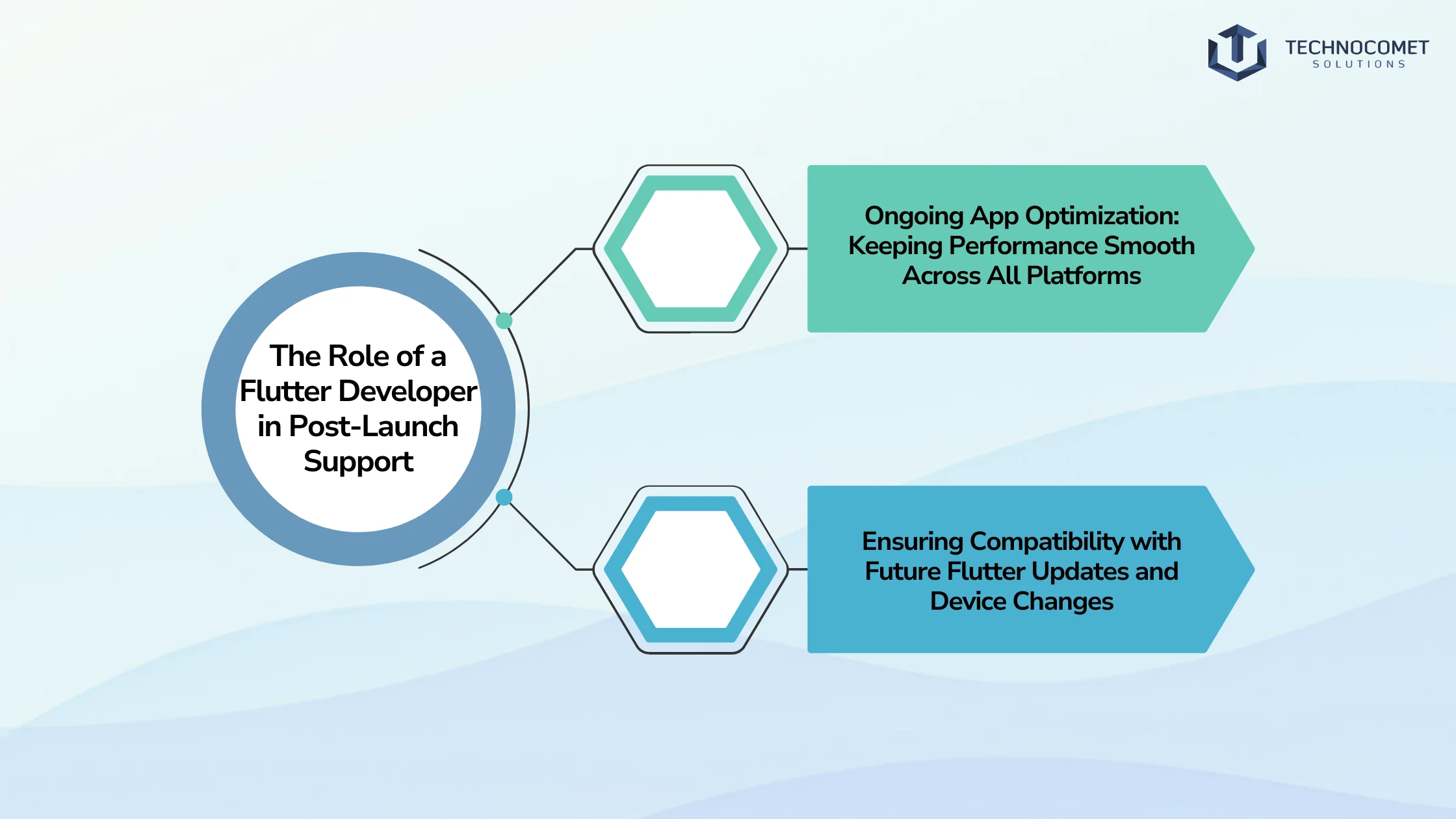 flutter developer